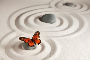 papillon qui évoque la transformation, le développement personnel et spirituel